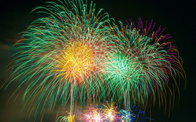 image for Fireworks and Your Dogs